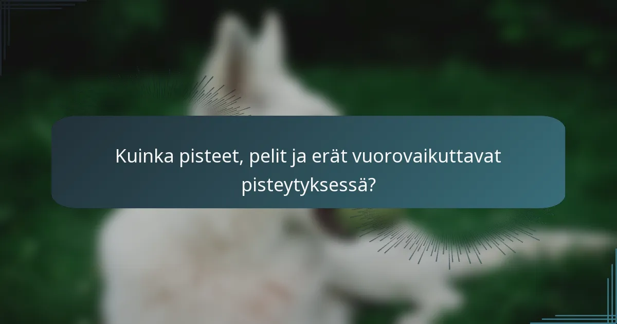 Kuinka pisteet, pelit ja erät vuorovaikuttavat pisteytyksessä?