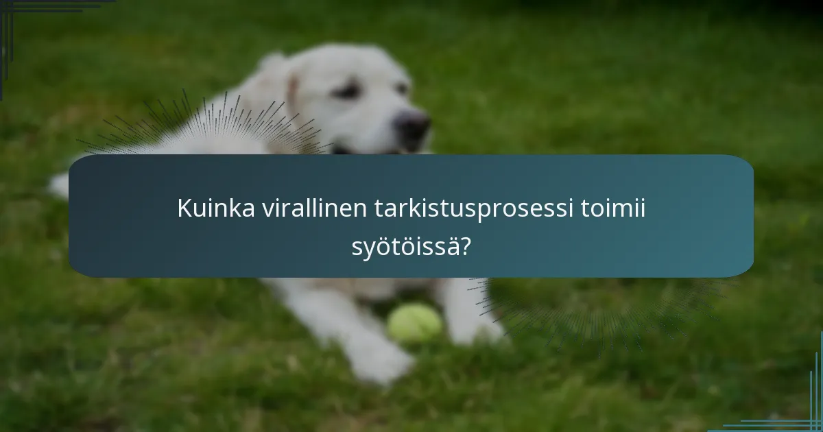 Kuinka virallinen tarkistusprosessi toimii syötöissä?