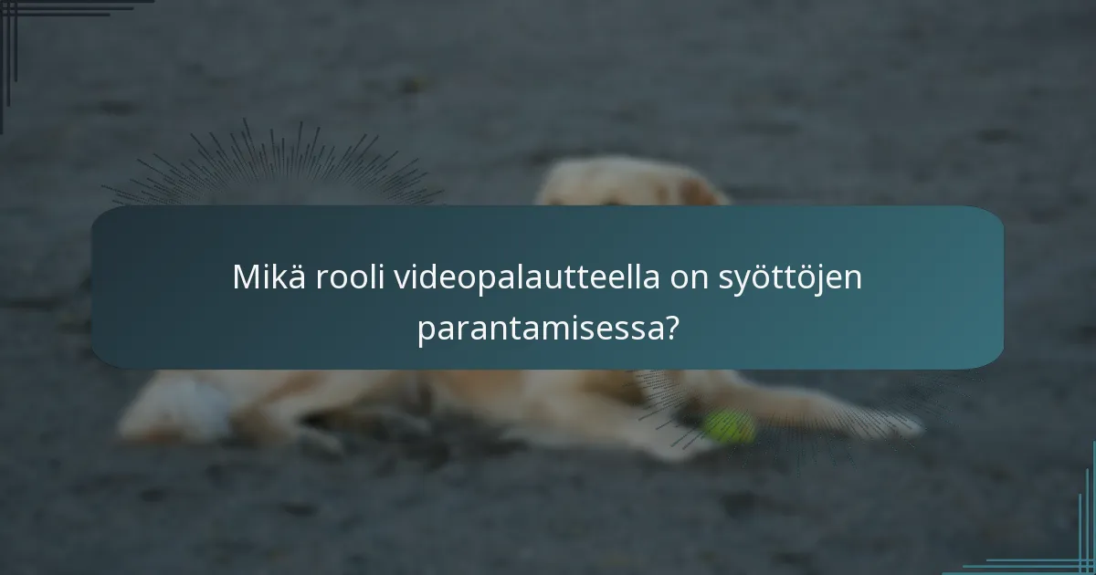Mikä rooli videopalautteella on syöttöjen parantamisessa?