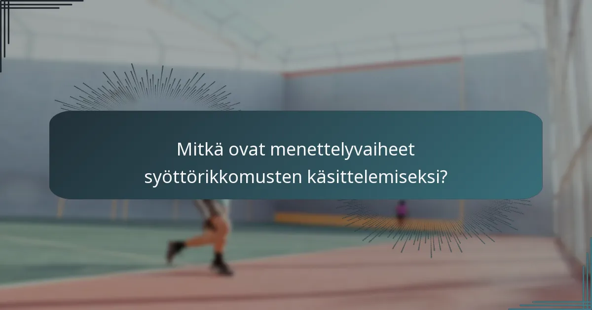 Mitkä ovat menettelyvaiheet syöttörikkomusten käsittelemiseksi?
