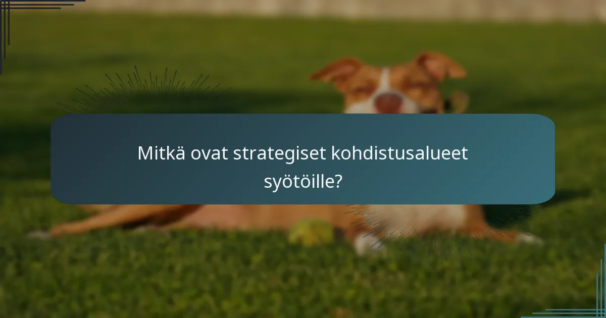 Mitkä ovat strategiset kohdistusalueet syötöille?