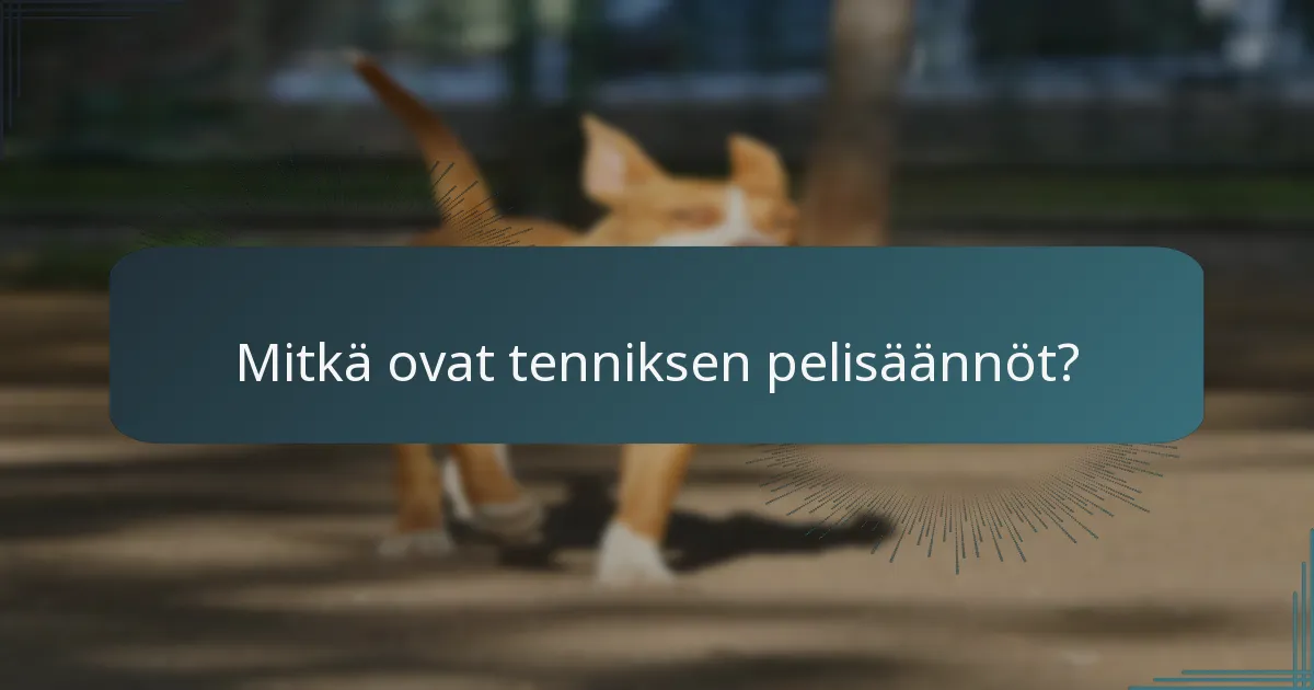 Mitkä ovat tenniksen pelisäännöt?