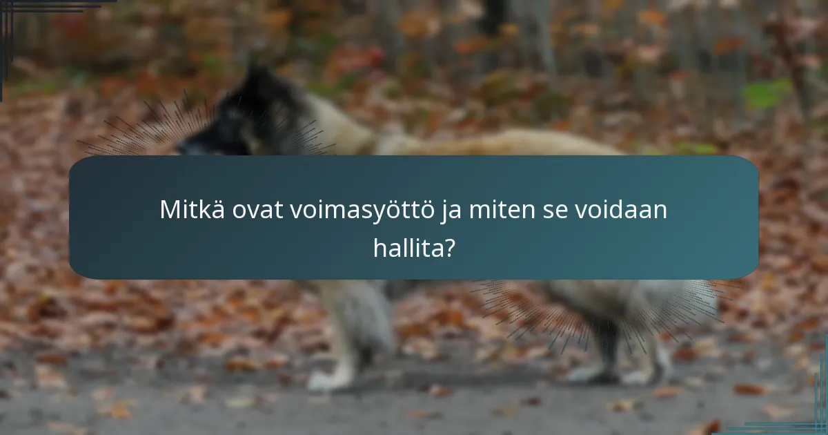 Mitkä ovat voimasyöttö ja miten se voidaan hallita?
